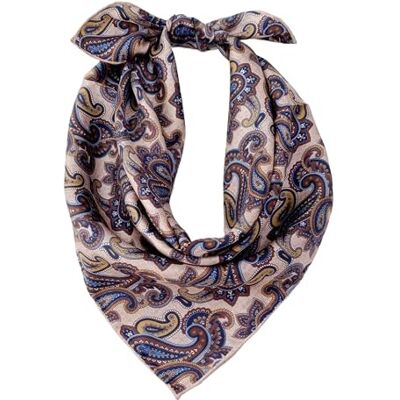 Prettystern Heren Bandana Sjaal Kleine Vierkante Zijden Sjaal, 34 Paisley Bruin 53 cm X 53 cm Prettystern Heren Bandana Sjaal Kleine Vierkante Zijden Sjaal, 34 Paisley Bruin 53 cm X 53 cm