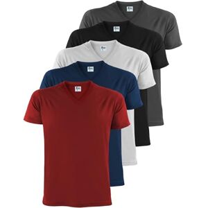 ALPIDEX Heren T-shirts V-hals 5 stuks korte mouwen effen katoen basic heren T-shirt S M L XL XXL 3XL 4XL 5XL, Vuur, S S ALPIDEX Heren T-shirts V-hals 5 stuks korte mouwen effen katoen basic heren T-shirt S M L XL XXL 3XL 4XL 5XL, Vuur, S S