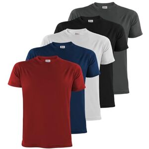 ALPIDEX T-shirts voor heren, 5 stuks, zwart, effen, ronde hals, maat S, M, L, XL, XXL, 3XL, 4XL, 5XL, Vuur L ALPIDEX T-shirts voor heren, 5 stuks, zwart, effen, ronde hals, maat S, M, L, XL, XXL, 3XL, 4XL, 5XL, Vuur L