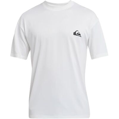 Quiksilver Everyday Surf Tee SS T-shirt voor heren (1 stuk) Quiksilver Everyday Surf Tee SS T-shirt voor heren (1 stuk)