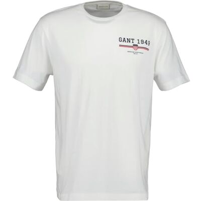 Gant Graphic Ss T-shirt voor heren, Eierschaal, XL XL Gant Graphic Ss T-shirt voor heren, Eierschaal, XL XL