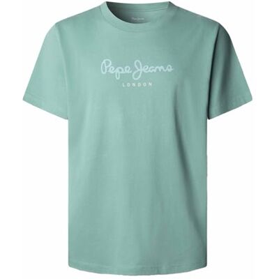 Pepe Jeans Heren T-shirt Eggo N, Groen (groen hout) M Pepe Jeans Heren T-shirt Eggo N, Groen (groen hout) M