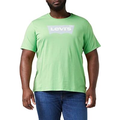 Levis Graphic Crewneck Tee T-shirt voor heren (1 stuk), Batwing Logo Peppermint S Levis Graphic Crewneck Tee T-shirt voor heren (1 stuk), Batwing Logo Peppermint S
