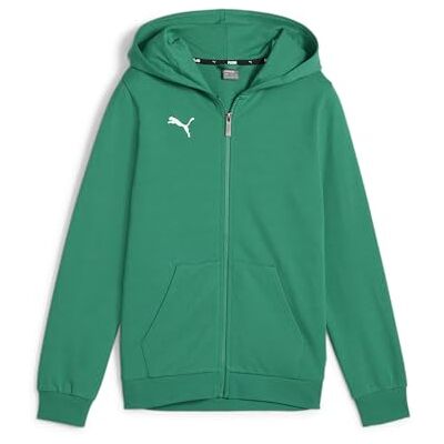 Puma Teamgoal Casual jas met capuchon Jr zweet jongens Puma Teamgoal Casual jas met capuchon Jr zweet jongens