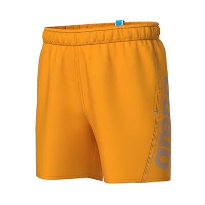 ARENA Fundamentals Logo Jr Boxer R Strandshorts voor jongens, Turquoise papegaai, 8-9 jaar 8-9 jaar ARENA Fundamentals Logo Jr Boxer R Strandshorts voor jongens, Turquoise papegaai, 8-9 jaar 8-9 jaar
