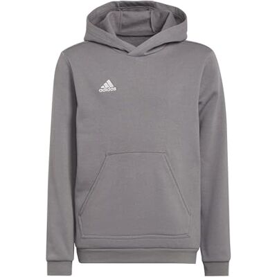 Adidas Entrada 22 Hoodie voor kinderen, sweatshirt, uniseks Adidas Entrada 22 Hoodie voor kinderen, sweatshirt, uniseks
