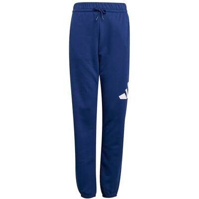 Adidas Essentials Big Logo Pants Uniseks kinderbroek Adidas Essentials Big Logo Pants Uniseks kinderbroek