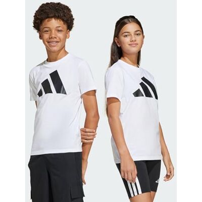Adidas Essentials Big Logo T-shirt, uniseks, kinderen Adidas Essentials Big Logo T-shirt, uniseks, kinderen