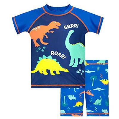Harry Bear Tweedelig badpak voor jongens, dinosaurus, Blauw 2-3 ans Harry Bear Tweedelig badpak voor jongens, dinosaurus, Blauw 2-3 ans