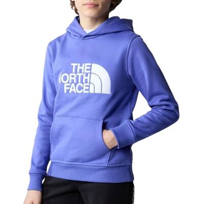 The North Face Drew Peak Hoodie voor kinderen en tieners The North Face Drew Peak Hoodie voor kinderen en tieners