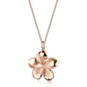 Elli Damesketting met hanger Frangipani (925/1000) zilver, sterling zilver, geen steen, Sterling Zilver, Geen steen Elli Damesketting met hanger Frangipani (925/1000) zilver, sterling zilver, geen steen, Sterling Zilver, Geen steen