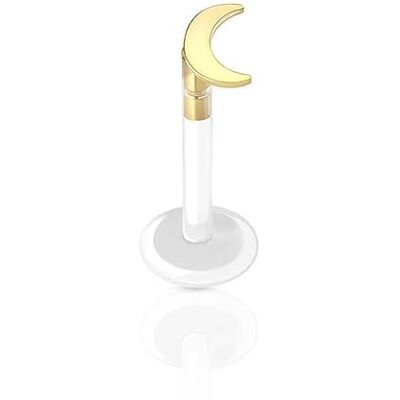 BlackAmazement 316L roestvrij staal labret piercing helix tragus monroe kraakbeen 8 mm halve maan ster halve maan zilver/goud BlackAmazement 316L roestvrij staal labret piercing helix tragus monroe kraakbeen 8 mm halve maan ster halve maan zilver/goud