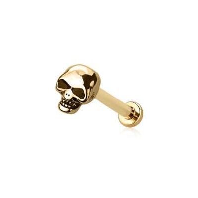BlackAmazement Piercing van roestvrij staal 316L voor labret, helix, tragus, monroe, kraakbeen, pusher, 8 mm, doodshoofd, schedel, zilver, goud, biker, heren en dames, Roestvrij staal BlackAmazement Piercing van roestvrij staal 316L voor labret, helix, tragus, monroe, kraakbeen, pusher, 8 mm, doodshoofd, schedel, zilver, goud, biker, heren en dames, Roestvrij staal
