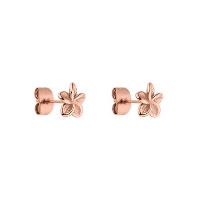 Purelei Plumeria Oorbellen van roestvrij staal, 14 karaat verguld, 18 karaat roségoud of zilver verguld, Roestvrij staal, Abalone Purelei Plumeria Oorbellen van roestvrij staal, 14 karaat verguld, 18 karaat roségoud of zilver verguld, Roestvrij staal, Abalone