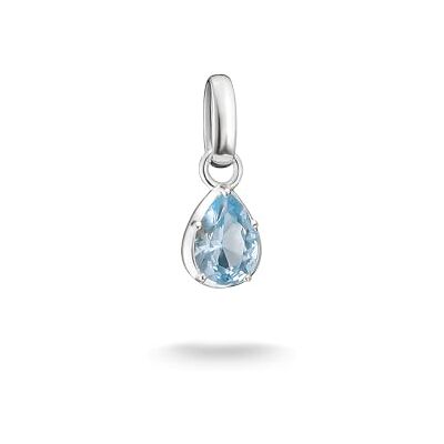 Thomas Sabo Connect Charm geboortesteen collectie hanger 925 sterling zilver Thomas Sabo Connect Charm geboortesteen collectie hanger 925 sterling zilver