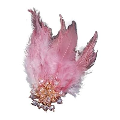 YXADGML Broche Veer Vintage Atmosferische Kristal Veer Broche Luxe Elegante Lijfje Pin Banket Accessoires Sieraden YXADGML Broche Veer Vintage Atmosferische Kristal Veer Broche Luxe Elegante Lijfje Pin Banket Accessoires Sieraden