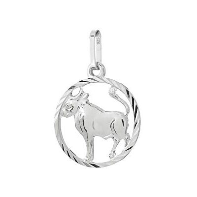 NKlaus Stier sterrenbeeld 925 sterling zilver 15 mm hanger horoscoop dierenriem 9162 NKlaus Stier sterrenbeeld 925 sterling zilver 15 mm hanger horoscoop dierenriem 9162