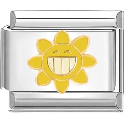Quiges 9 mm Italiaanse stijl bedelmodule van roestvrij staal met smiley zon en bloem voor Italiaanse armbanden, koper, Koper Quiges 9 mm Italiaanse stijl bedelmodule van roestvrij staal met smiley zon en bloem voor Italiaanse armbanden, koper, Koper