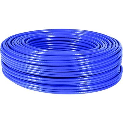 Dexlan Câble Cat 6 FTP Bleu 100 m Dexlan Câble Cat 6 FTP Bleu 100 m