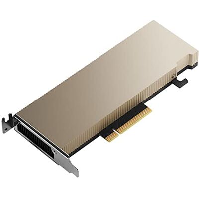 PNY NVIDIA A2 module 16 GB PNY NVIDIA A2 module 16 GB