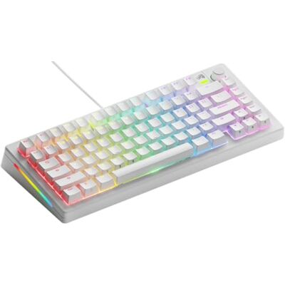 GLORIOUS Gaming GMMK 3: 75% TKL mechanisch gamingtoetsenbord, modulaire afdichtingen, doubleshot PBT, aluminium schakelplaat, 3-5-polige schakelaars (Hot Swap), VS QWERTY wit USB-C bedraad GLORIOUS Gaming GMMK 3: 75% TKL mechanisch gamingtoetsenbord, modulaire afdichtingen, doubleshot PBT, aluminium schakelplaat, 3-5-polige schakelaars (Hot Swap), VS QWERTY wit USB-C bedraad