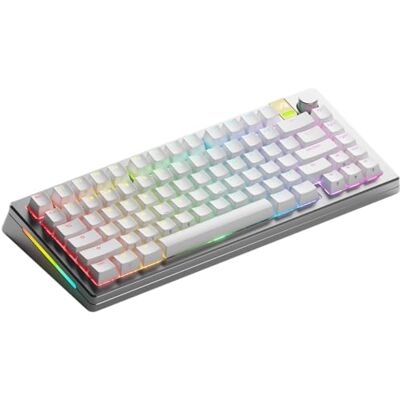 GLORIOUS Gaming GMMK 3 Pro: responsief draadloos gamingtoetsenbord, Hall-effect, aluminium behuizing, 8K polling-snelheid, MX en (Hot Swap), instelbare activering, TKL 75%, Amerikaans QWERTY zilver GLORIOUS Gaming GMMK 3 Pro: responsief draadloos gamingtoetsenbord, Hall-effect, aluminium behuizing, 8K polling-snelheid, MX en (Hot Swap), instelbare activering, TKL 75%, Amerikaans QWERTY zilver