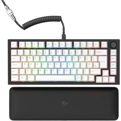 GLORIOUS Gaming GMMK PRO 75% Modulair mechanisch gamingtoetsenbord, TKL, 1,5 kg frame, aanpasbaar, spiraalkabel, polssteun, witte toetsen, RGB, Engelse QWERTY-lay-out, zwart GLORIOUS Gaming GMMK PRO 75% Modulair mechanisch gamingtoetsenbord, TKL, 1,5 kg frame, aanpasbaar, spiraalkabel, polssteun, witte toetsen, RGB, Engelse QWERTY-lay-out, zwart
