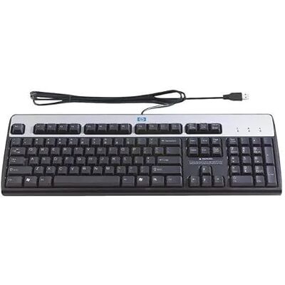 HP Desktop 320K Clavier Filaire USB AZERTY Français Full-Size Low Profile Câble 1.80m pour PC et Ordinateur Portable HP Desktop 320K Clavier Filaire USB AZERTY Français Full-Size Low Profile Câble 1.80m pour PC et Ordinateur Portable