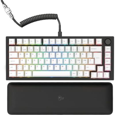 GLORIOUS Gaming GMMK PRO 75% Modulair mechanisch gamingtoetsenbord, TKL, frame 1,5 kg, aanpasbaar, spiraalkabel, polssteun, witte toetsen, RGB, Nordic QWERTY-lay-out, zwart GLORIOUS Gaming GMMK PRO 75% Modulair mechanisch gamingtoetsenbord, TKL, frame 1,5 kg, aanpasbaar, spiraalkabel, polssteun, witte toetsen, RGB, Nordic QWERTY-lay-out, zwart