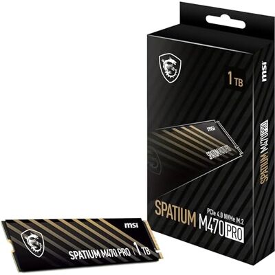 MSI SPATIUM M470 Pro PCIe 4.0 NVMe M.2 1TB MSI SPATIUM M470 Pro PCIe 4.0 NVMe M.2 1TB