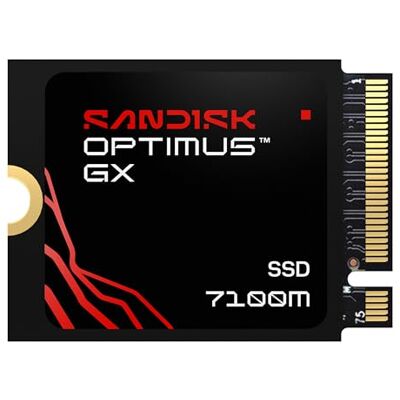 SanDisk Optimus GX 7100M NVMe SSD 1TB (tot 7250/6900MB/s sequentiële lees-/schrijfsnelheden, M.2 2230, PCIe 4.0, Steam Deck, MSI Claw, Microsoft Surface of Dell) SanDisk Optimus GX 7100M NVMe SSD 1TB (tot 7250/6900MB/s sequentiële lees-/schrijfsnelheden, M.2 2230, PCIe 4.0, Steam Deck, MSI Claw, Microsoft Surface of Dell)