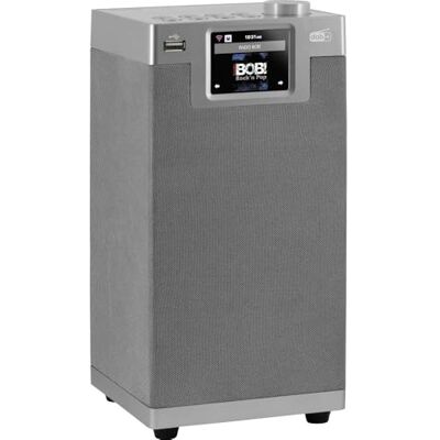 Imperial DABMAN i610 Internetradio, DAB+, digitaal (stereogeluid, subwoofer, Bluetooth, DAB/DAB+/FM, wifi, LAN, USB, streamingdiensten (Spotify, Napster UVM), torendesign, zilver Imperial DABMAN i610 Internetradio, DAB+, digitaal (stereogeluid, subwoofer, Bluetooth, DAB/DAB+/FM, wifi, LAN, USB, streamingdiensten (Spotify, Napster UVM), torendesign, zilver