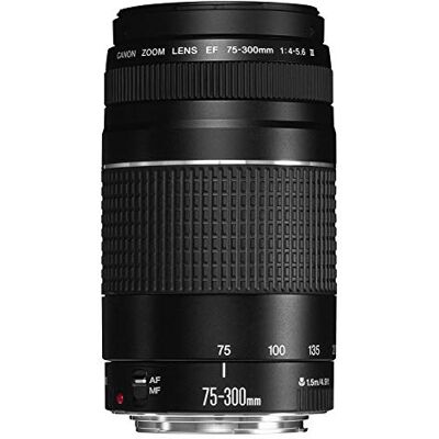 Canon Vaste lens EF DC 4,0-5, 6/75-300 III Canon Vaste lens EF DC 4,0-5, 6/75-300 III