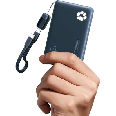 INIU Draagbare oplader, slank 10.000 mAh, 22,5 W, PD powerbank, USB C in-& Out Fast Charging Battery Pack, externe telefoonpowerbank, compatibel met iPhone 15, 14, 13, 12, Samsung S22, S23, Google INIU Draagbare oplader, slank 10.000 mAh, 22,5 W, PD powerbank, USB C in-& Out Fast Charging Battery Pack, externe telefoonpowerbank, compatibel met iPhone 15, 14, 13, 12, Samsung S22, S23, Google