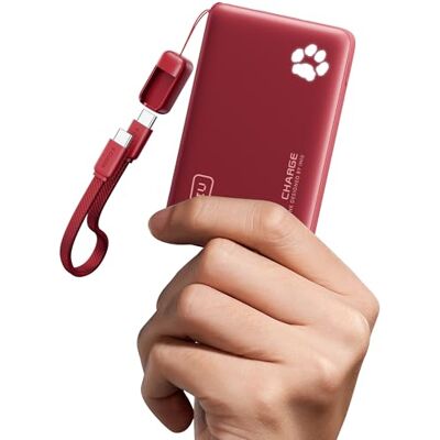 INIU Power Bank, 45 W, 10.000 mAh, PD3.0 powerbank met flitslamp, compatibel met iPhone 17 16 15 Pro Max Mini Samsung S24 S23, rood INIU Power Bank, 45 W, 10.000 mAh, PD3.0 powerbank met flitslamp, compatibel met iPhone 17 16 15 Pro Max Mini Samsung S24 S23, rood