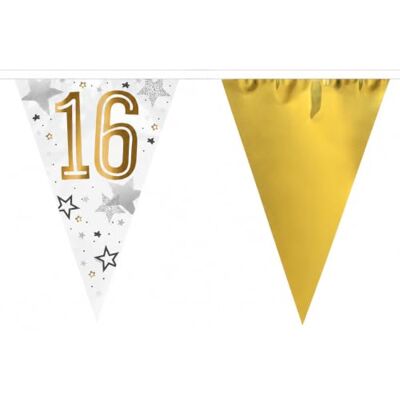 BF Souvenirs Guirlande de fanions d'anniversaire 16 ans Or blanc 6 m Guirlande de fête en PET robuste Fanions 30 x 20 cm Décoration festive pour 16e anniversaire BF Souvenirs Guirlande de fanions d'anniversaire 16 ans Or blanc 6 m Guirlande de fête en PET robuste Fanions 30 x 20 cm Décoration festive pour 16e anniversaire