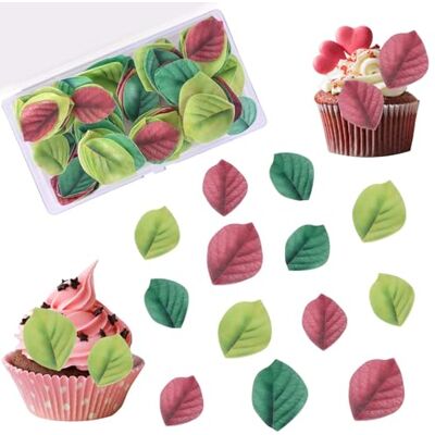 FooYee 100 stuks cupcake-toppers, eetbaar, groen, voor taart, jungle, groene bladeren van wafelpapier, plakkerig, voor verjaardag, bruiloft (meerkleurig) FooYee 100 stuks cupcake-toppers, eetbaar, groen, voor taart, jungle, groene bladeren van wafelpapier, plakkerig, voor verjaardag, bruiloft (meerkleurig)