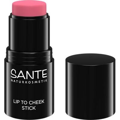 Sante Naturkosmetik Lip to Cheek Stick 01 Rose 6 g Natuurlijke blush voor wangen, lippen en bogen Gesmolten blush met romige en lichte textuur voor een frisse en glanzende afwerking Sante Naturkosmetik Lip to Cheek Stick 01 Rose 6 g Natuurlijke blush voor wangen, lippen en bogen Gesmolten blush met romige en lichte textuur voor een frisse en glanzende afwerking
