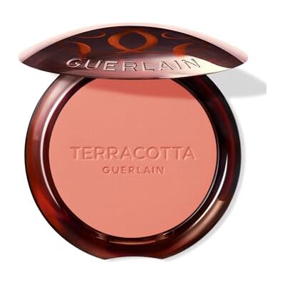Guerlain Terracotta Blush Guerlain Terracotta Blush