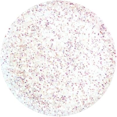 Eulenspiegel Glitter 6 g, parelmoer Voor gezicht en lichaam, voor festivals, carnaval en cosplay Eulenspiegel Glitter 6 g, parelmoer Voor gezicht en lichaam, voor festivals, carnaval en cosplay