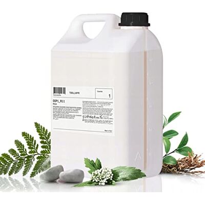 Prija Vitaliserende vloeibare zeep, navulverpakking, 5 l, natuurlijke formule met plantaardige extracten, zachte en hydraterende reiniger voor alle huidtypes, ideaal voor thuis, hotels en professionals, gemaakt in Italië Prija Vitaliserende vloeibare zeep, navulverpakking, 5 l, natuurlijke formule met plantaardige extracten, zachte en hydraterende reiniger voor alle huidtypes, ideaal voor thuis, hotels en professionals, gemaakt in Italië