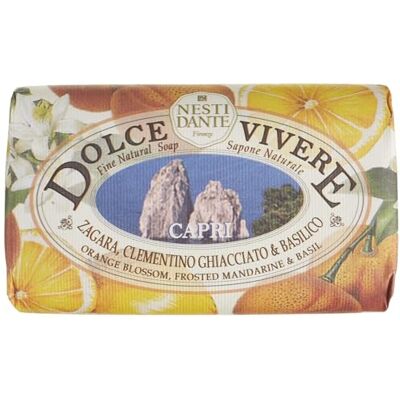 Nesti Dante Dolce Vivere Capri Zeep 665201 zeepblok 250 g uniseks geschikt voor alle huidtypes Nesti Dante Dolce Vivere Capri Zeep 665201 zeepblok 250 g uniseks geschikt voor alle huidtypes