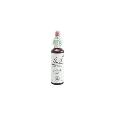 Bach GORSE 20 ml glazen fles 20 ml met druppels Bach GORSE 20 ml glazen fles 20 ml met druppels