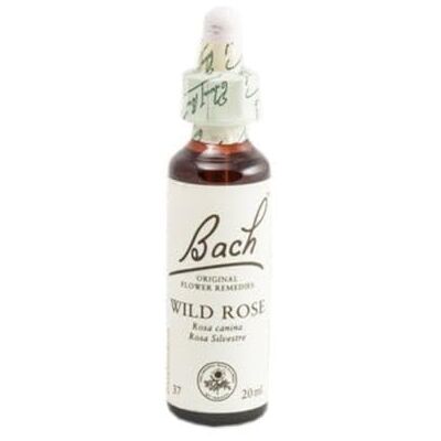 Bach bloesem, wilde roos, voedingssupplement met extract van wilde rozenbloemen, Alkdruif 27% vol, helpt emoties te beheersen als je meer motivatie wilt hebben 20 ml Bach bloesem, wilde roos, voedingssupplement met extract van wilde rozenbloemen, Alkdruif 27% vol, helpt emoties te beheersen als je meer motivatie wilt hebben 20 ml