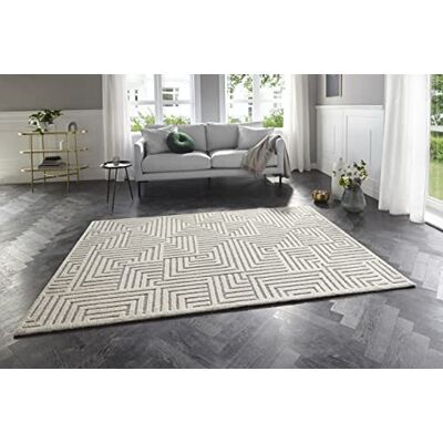 ELLE Manipu Modern pluizig laagpolig tapijt voor woonkamer, slaapkamer, keuken of eetkamer, crème grijs, 160 x 230 cm ELLE Manipu Modern pluizig laagpolig tapijt voor woonkamer, slaapkamer, keuken of eetkamer, crème grijs, 160 x 230 cm