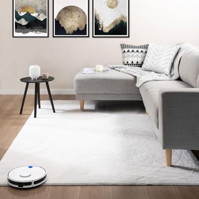 VIMODA Vloerkleed Woonkamer Slaapkamer Laagpolig Wasbaar Geschikt voor vloerverwarming Kleur:Crème, Maat:120x160 cm VIMODA Vloerkleed Woonkamer Slaapkamer Laagpolig Wasbaar Geschikt voor vloerverwarming Kleur:Crème, Maat:120x160 cm