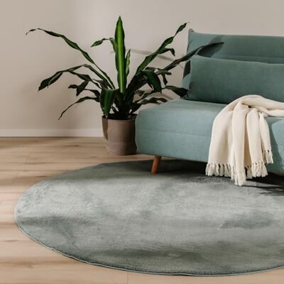 benuta Basic Vloerkleed voor woonkamer, imitatiebont, groen, rond, 200 cm, voor slaapkamer, kantoor, hal, baby, zacht, antislip, wasbaar, vloerverwarming benuta Basic Vloerkleed voor woonkamer, imitatiebont, groen, rond, 200 cm, voor slaapkamer, kantoor, hal, baby, zacht, antislip, wasbaar, vloerverwarming