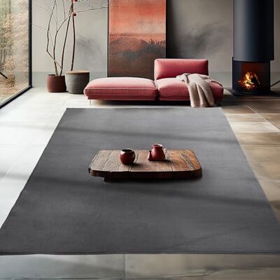 Teppium Vloerkleed voor de woonkamer, antislip, laagpolig, 200 x 300 cm (200 x 290 cm), grijs, wasbaar, pluizig, extra zacht, modern effen tapijt voor slaapkamer, kinderkamer, eetkamer en Teppium Vloerkleed voor de woonkamer, antislip, laagpolig, 200 x 300 cm (200 x 290 cm), grijs, wasbaar, pluizig, extra zacht, modern effen tapijt voor slaapkamer, kinderkamer, eetkamer en
