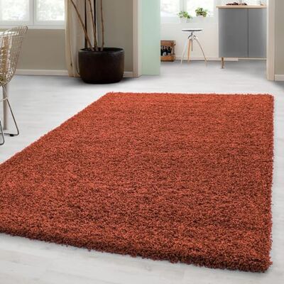 Carpetsale24 Hoogpolig tapijt, effen, vloerkleed voor slaapkamer en woonkamer, pluizig en zacht, 140 x 200 cm, terracotta Carpetsale24 Hoogpolig tapijt, effen, vloerkleed voor slaapkamer en woonkamer, pluizig en zacht, 140 x 200 cm, terracotta