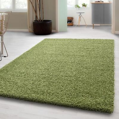 Carpetsale24 Hoogpolig shaggy tapijt voor de woonkamer, onderhoudsarm, getest op schadelijke stoffen, poolhoogte: 3 cm, Öko-Tex standaard, afmetingen: 80 x 150 cm, kleur: groen Carpetsale24 Hoogpolig shaggy tapijt voor de woonkamer, onderhoudsarm, getest op schadelijke stoffen, poolhoogte: 3 cm, Öko-Tex standaard, afmetingen: 80 x 150 cm, kleur: groen
